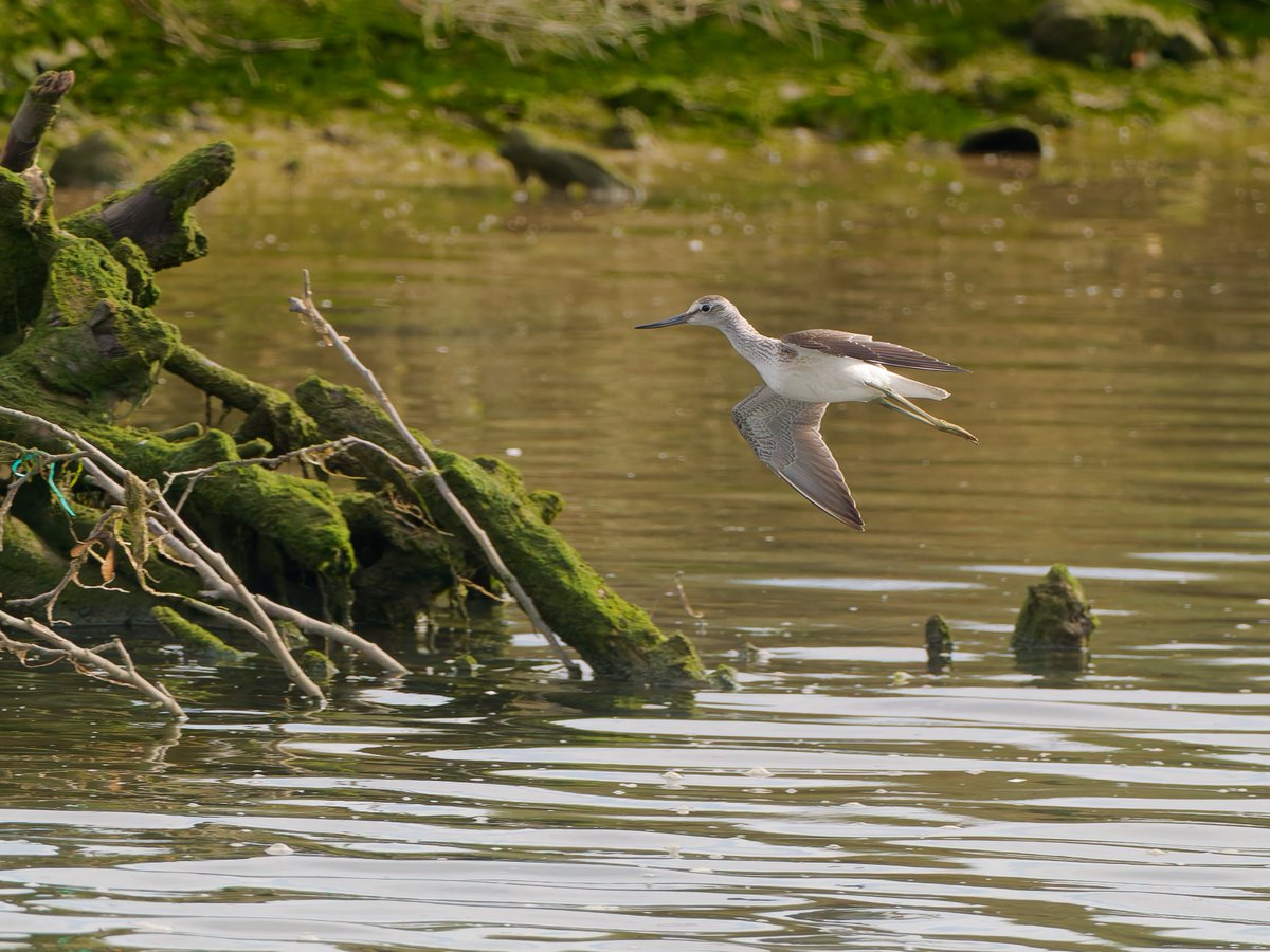 Paul Roberts tweet media