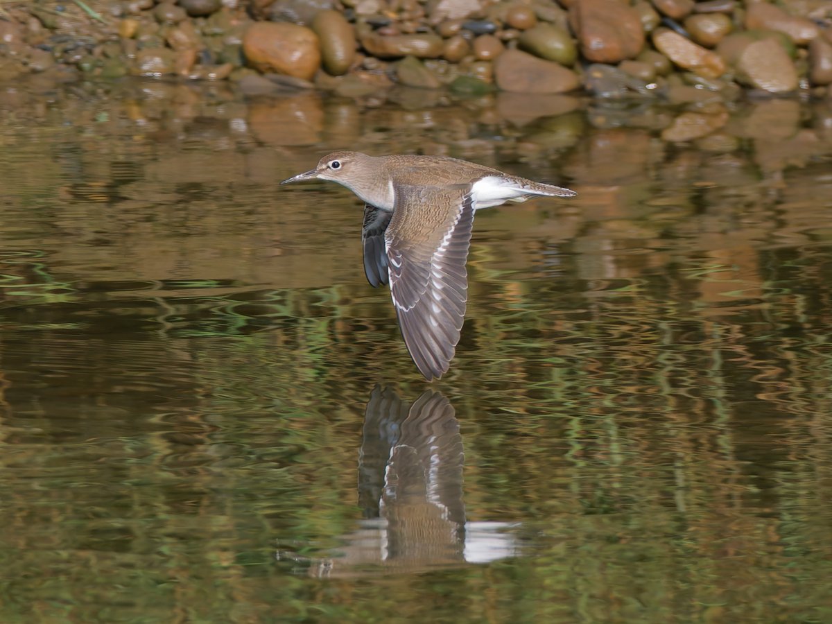 Paul Roberts tweet media