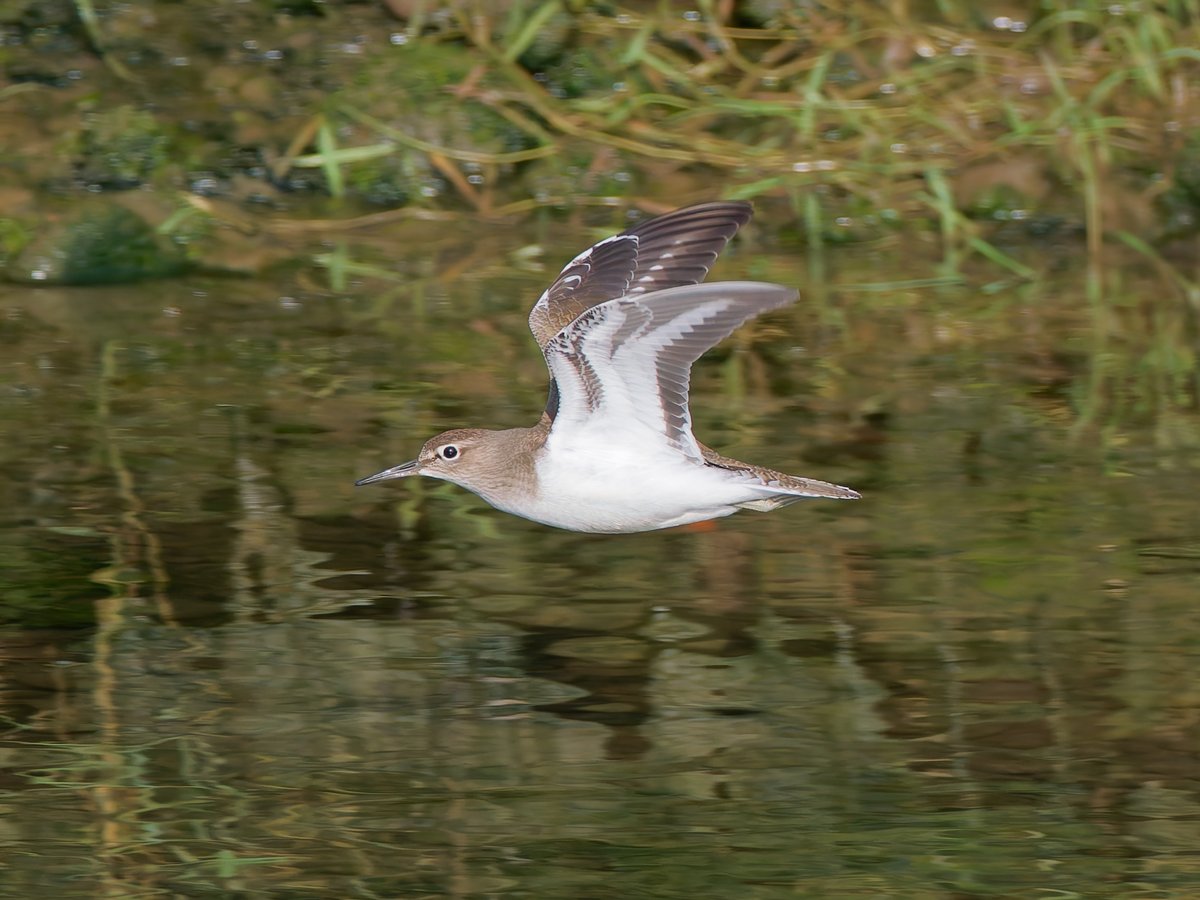 Paul Roberts tweet media