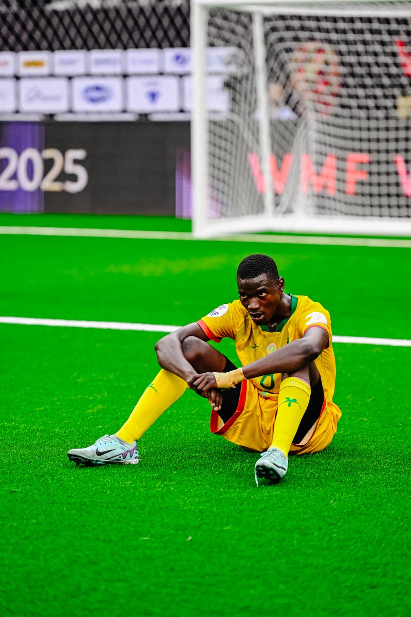 World Minifootball Federation tweet media