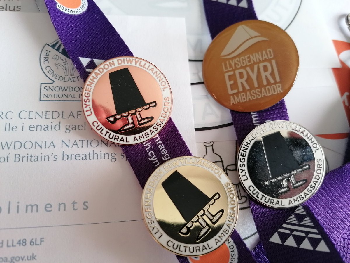 SEO Steph tweet media