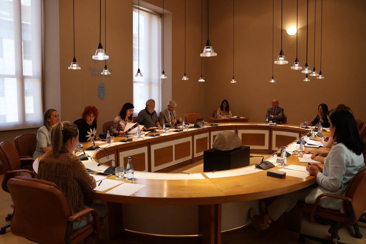 📌Convocatoria da sesión extraordinaria do pleno do 4 de agosto de 2025

parlamentodegalicia.es/Actualidade/43…