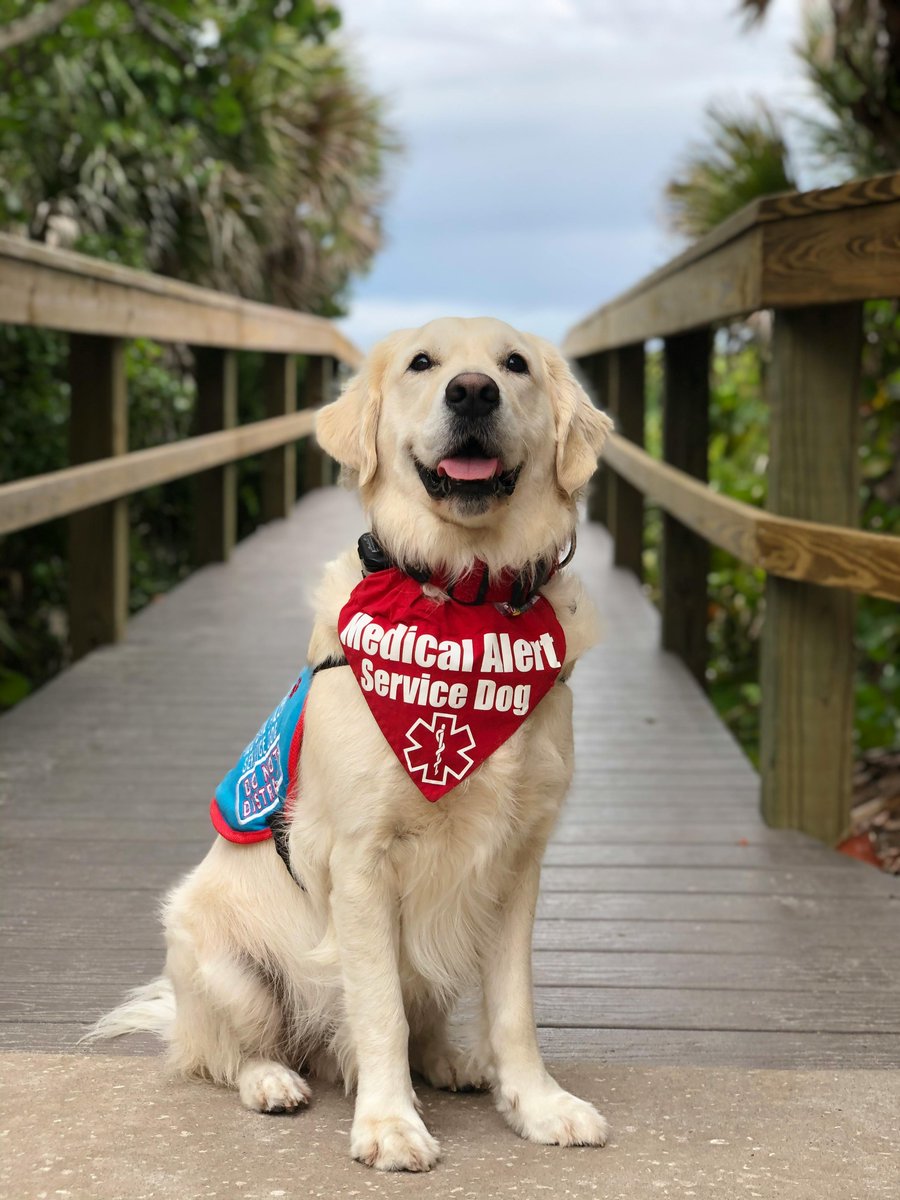 New Research: " Development of a Standardized Scale Measuring Public Beliefs and Knowledge About Service Dogs"

<a href="/CIHR_IRSC/">CIHR</a> <a href="/usaskArtSci/">USask Arts and Science</a> <a href="/ColleenAnneDell/">Colleen Anne Dell</a>

#Anthrozoology #HumanAnimalInteraction #ServiceDogs

doi.org/10.1080/089279…