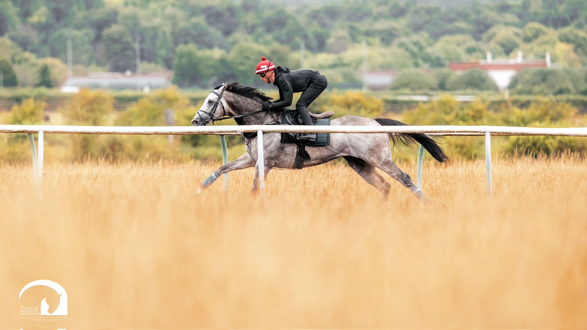 Jason Bax tweet media