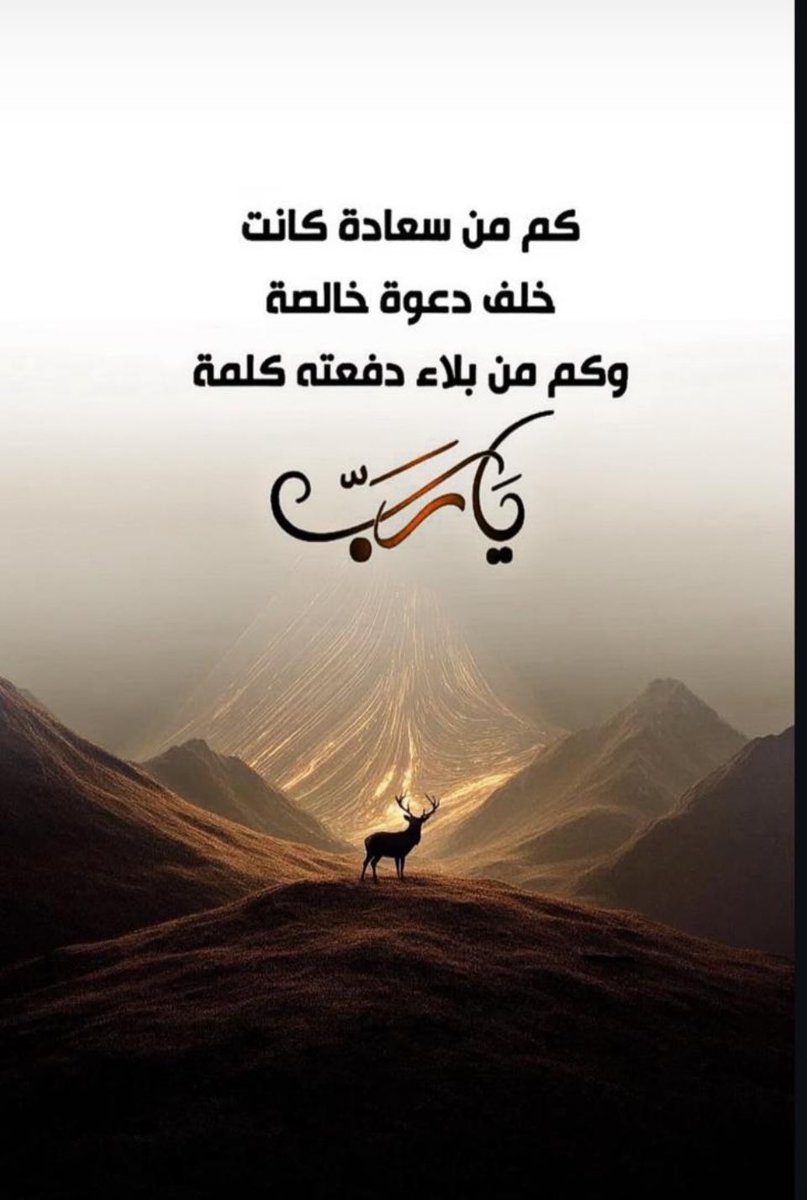 مشاعل بنت صالح الشثري (@measheil) on Twitter photo 