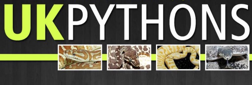 miyanosyouten's tweet image. UPYTHONSの地獄のオファーのお時間です。
今日も来客と問い合わせとオーダー有り難いです。
気遣いが出来る素敵な方々ばかりで自分は恵まれていますm(_ _)m
邪念無く本質的に個体を選定致しますので遠慮なく宮野使って下さいませ!
#カーペットパイソン #ukpythons