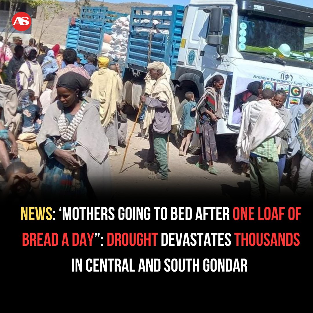 addisstandard's tweet photo. News: ‘Mothers going to bed after one loaf of bread a day”: #Drought devastates thousands in Central and South #Gondar

Severe drought conditions in #Ethiopia’s #Amhara regional state are affecting tens of thousands in both Central and South Gondar zones, leading to widespread food insecurity, livestock deaths, and internal migration.

In Central Gondar Zone’s West Belesa district, more than 32,000 people in six kebeles—Sami, Lava Mariam, Asawgari, Jandab, Laye, and Sera—are facing acute food shortages due to a prolonged lack of rainfall, according to Wasihun Kefyalew, head of the Central Gondar zone agriculture office. “3,000 hectares of crops have been damaged” and “over 1,200 animals” have perished since May 2025, he told Addis Standard.

In the neighboring South Gondar Zone, the Disaster Prevention and Food Security Office reported that over 175,000 people across 57 kebeles in seven districts are experiencing similar drought conditions.  Abebaw Ayenew, a communications expert at the office, told Deutsche Welle that the government has distributed 12,419 quintals of food grains to affected areas including Ebinat, Samada, Sede Muja, and Meket.

However, residents say the aid is insufficient. A witness from Lay Gaint district told Deutsche Welle that locals “have nothing to eat,” and many are resorting to migration. Mitraba, Daba Wotokos, Lay Negala, and Tach Negala kebeles were named among the hardest-hit.

https://t.co/rb7KZEHrmh