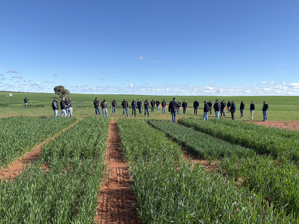 Andrew McMahen tweet media