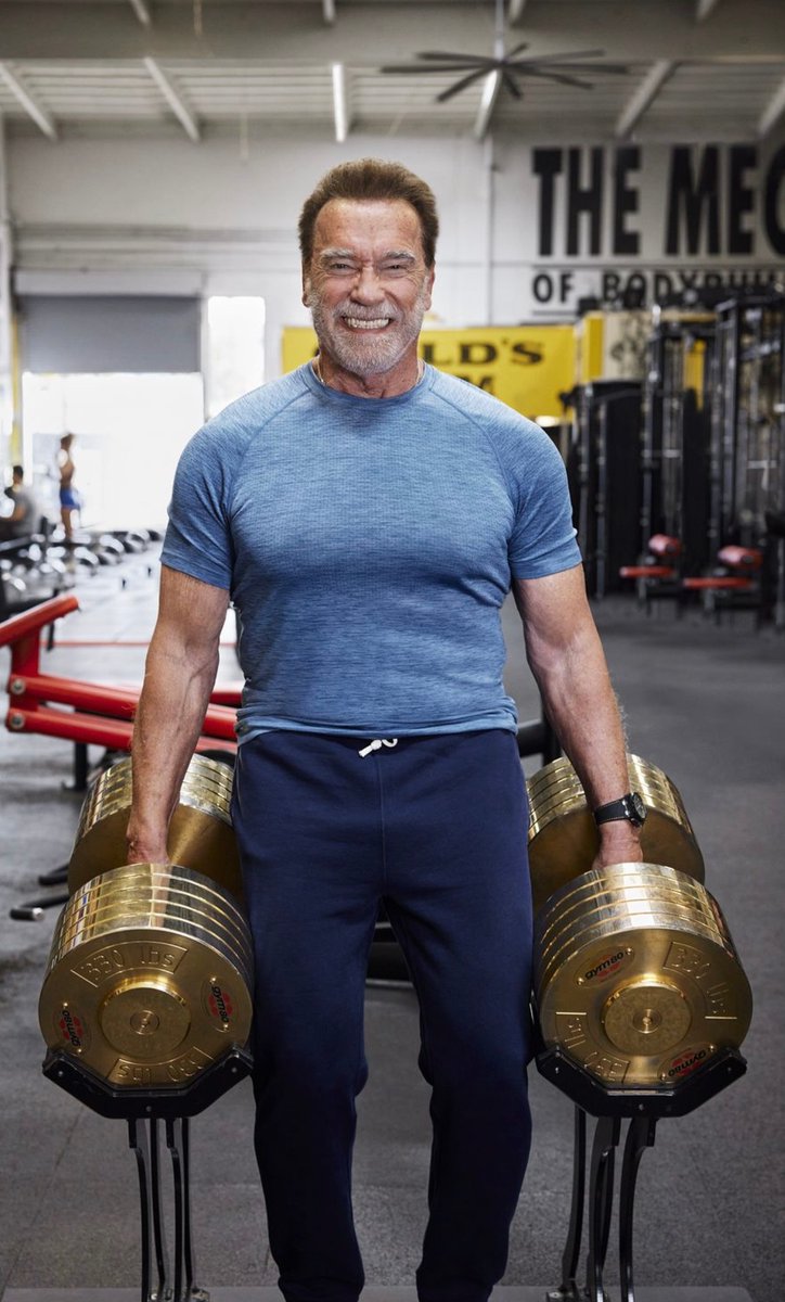 arnold Arnold Schwarzenegger In the 70's. - ZBrushCentral