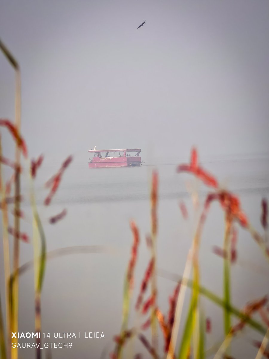 Gaurav Kumar (@_gtech9) on Twitter photo A Tour Boat glides.
An Eagle flies.
One frame holds it all.
Timing matters. So does the lens.
#Xiaomi14Ultra does both work in your favour.
#ShotOnSnapdragon
#xiaomi14ultra #lenstolegend
<a href="/s_anuj/">Anuj Sharma</a> <a href="/Rozmond1/">Rosemond</a> <a href="/Snapdragon_IN/">Snapdragon India</a> <a href="/Snapdragon/">Snapdragon</a> A Tour Boat glides.
An Eagle flies.
One frame holds it all.
Timing matters. So does the lens.
#Xiaomi14Ultra does both work in your favour.
#ShotOnSnapdragon
#xiaomi14ultra #lenstolegend
<a href="/s_anuj/">Anuj Sharma</a> <a href="/Rozmond1/">Rosemond</a> <a href="/Snapdragon_IN/">Snapdragon India</a> <a href="/Snapdragon/">Snapdragon</a>