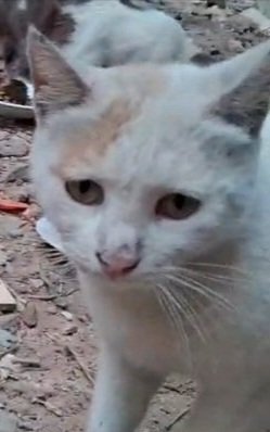 Do you imagine that since two days we haven't eaten anything, our children &amp; furs will not stop crying with hunger &amp; they slept exhausted from crying, even the water will run out today, people around us have started breaking into each other's houses to steal bread &amp; water, we
