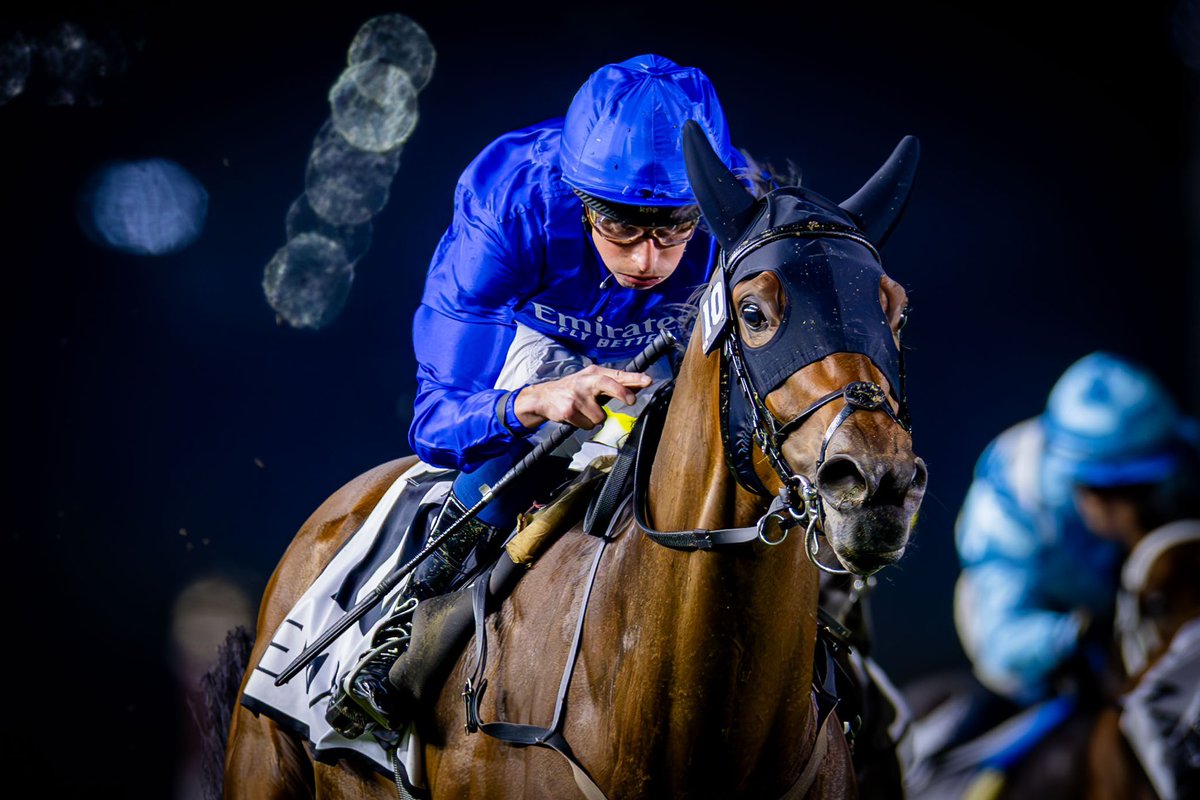 Across turf and dirt, the story is the same, unrelenting drive, shared purpose, and a finish line that brings us together. This is UAE racing. This is Racing United. 🇦🇪 🏇🏁

#ERA #RacingUnited #RacingUAE