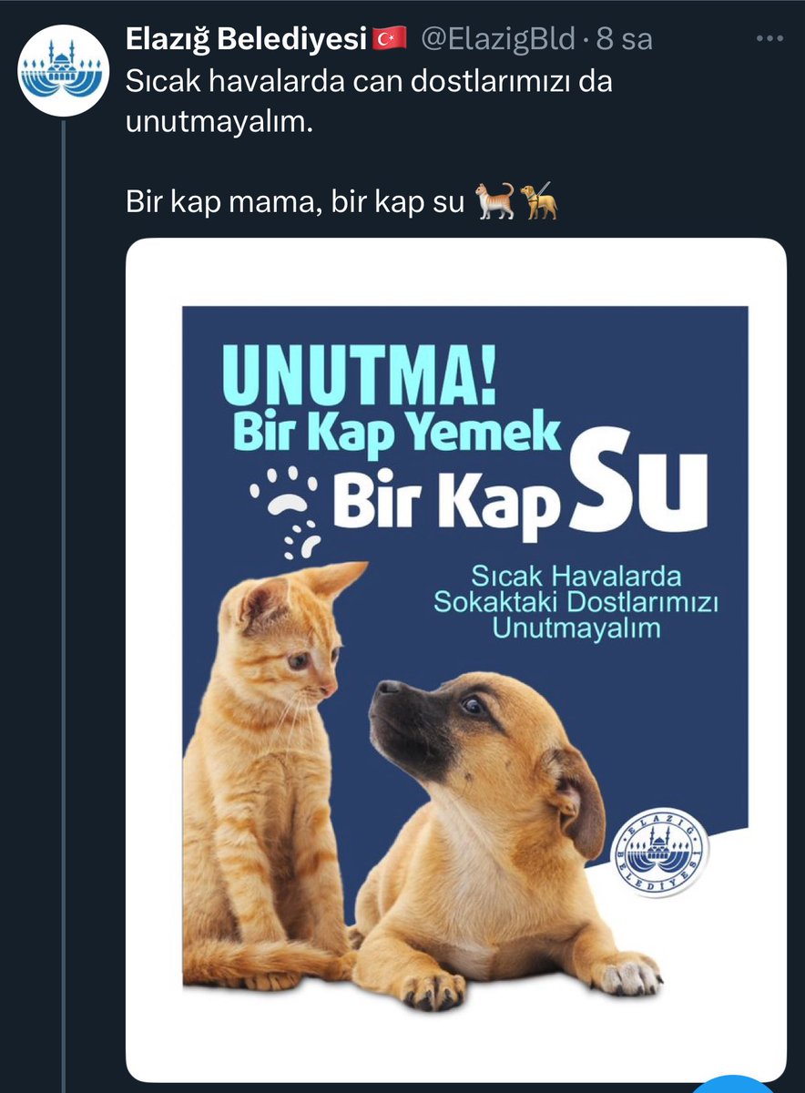 Av.Arb.ASLIHAN ERGÜN ERCAN ⚖️ (@aslihan_ercan) on Twitter photo Başıboş köpek sorununu çözmek adına 5199 sayılı kanun revize edileli tam 1 yıl oldu…
Durum raporunu hazırlayan ve sunan <a href="/Yenisehirlioglu/">Bahadır Yenişehirlioğlu</a> konuyla ilgilenen herkesi tek tek arayarak bilgi ve talep topladı…
Taslak “sahiplendirilmeyenler uyutulsun” şeklinde komisyona geldi…
Bir Başıboş köpek sorununu çözmek adına 5199 sayılı kanun revize edileli tam 1 yıl oldu…
Durum raporunu hazırlayan ve sunan <a href="/Yenisehirlioglu/">Bahadır Yenişehirlioğlu</a> konuyla ilgilenen herkesi tek tek arayarak bilgi ve talep topladı…
Taslak “sahiplendirilmeyenler uyutulsun” şeklinde komisyona geldi…
Bir