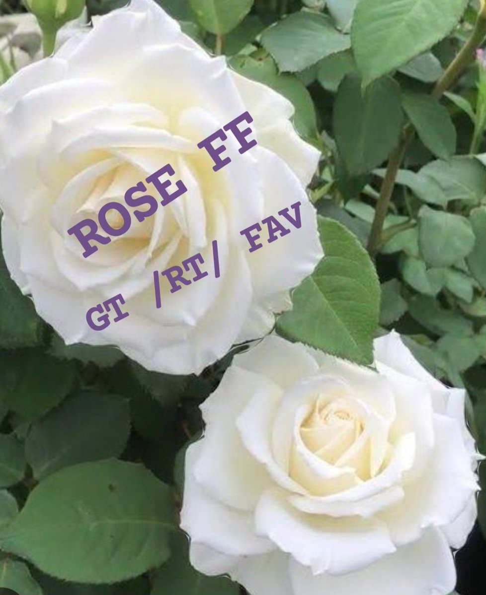 Mevlüt27⭐⭐⭐⭐⭐ (@mkus27) on Twitter photo 🔱<a href="/Roseclod/">ROSE</a>
<a href="/TRclod/">Rose</a>
<a href="/G0ye5/">Gaye</a>
<a href="/fzsnchp/">🇹🇷 Feza ASAN 🇹🇷</a>
<a href="/Akkurt026/">Emre Akkurt</a>
<a href="/1klb_/">🦋 KELEBEK 🦋</a>
<a href="/Ela0633/">💕Ela 💕</a>
<a href="/mkus27/">Mevlüt27⭐⭐⭐⭐⭐</a>
<a href="/sungelin/">Sarı gelin</a>
<a href="/1_drs42/">Dursun</a>
<a href="/ertnayk/">Ertnayk</a>
<a href="/Aslym0/">Aslı</a>
<a href="/m_kayrak/">4535🌟🌟🌟🌟🌟</a>
<a href="/1elf_/">🧚♀️MELEK🧚♀️SULTAN 🧚♀️</a>
<a href="/2_Talh/">Talha</a>
<a href="/nlf16/">NİLÜFER</a>
<a href="/zubus__/">Zübeyde</a>
<a href="/drssn_42/">Dursun</a>
<a href="/Mehter_22/">Mehmet⭐⭐⭐⭐⭐💙💛</a>
<a href="/FaAG007/">FA1907</a>
<a href="/EeeSaoh/">s.baha can</a>
<a href="/Anajbejeb/">Elazığ 2323</a>
<a href="/sorix_45/">Sadece Galatasaray ❤️💛🔥</a>
<a href="/AyE8898/">Ay Nur Duru</a>
<a href="/NebilKahil/">Nebil</a>
<a href="/Trkqs_43/">VatanSever ( FSM ) ❤️🐺🇹🇷🤘</a>
<a href="/durpeki/">sevda</a>
<a href="/1ramo4/">Ramoo 🇹🇷</a>
<a href="/Svd_61/">Sevda¹⁹⁰⁵ ❤️💛💊</a>
<a href="/Esraharley/">Esra💎</a> 🔱<a href="/Roseclod/">ROSE</a>
<a href="/TRclod/">Rose</a>
<a href="/G0ye5/">Gaye</a>
<a href="/fzsnchp/">🇹🇷 Feza ASAN 🇹🇷</a>
<a href="/Akkurt026/">Emre Akkurt</a>
<a href="/1klb_/">🦋 KELEBEK 🦋</a>
<a href="/Ela0633/">💕Ela 💕</a>
<a href="/mkus27/">Mevlüt27⭐⭐⭐⭐⭐</a>
<a href="/sungelin/">Sarı gelin</a>
<a href="/1_drs42/">Dursun</a>
<a href="/ertnayk/">Ertnayk</a>
<a href="/Aslym0/">Aslı</a>
<a href="/m_kayrak/">4535🌟🌟🌟🌟🌟</a>
<a href="/1elf_/">🧚♀️MELEK🧚♀️SULTAN 🧚♀️</a>
<a href="/2_Talh/">Talha</a>
<a href="/nlf16/">NİLÜFER</a>
<a href="/zubus__/">Zübeyde</a>
<a href="/drssn_42/">Dursun</a>
<a href="/Mehter_22/">Mehmet⭐⭐⭐⭐⭐💙💛</a>
<a href="/FaAG007/">FA1907</a>
<a href="/EeeSaoh/">s.baha can</a>
<a href="/Anajbejeb/">Elazığ 2323</a>
<a href="/sorix_45/">Sadece Galatasaray ❤️💛🔥</a>
<a href="/AyE8898/">Ay Nur Duru</a>
<a href="/NebilKahil/">Nebil</a>
<a href="/Trkqs_43/">VatanSever ( FSM ) ❤️🐺🇹🇷🤘</a>
<a href="/durpeki/">sevda</a>
<a href="/1ramo4/">Ramoo 🇹🇷</a>
<a href="/Svd_61/">Sevda¹⁹⁰⁵ ❤️💛💊</a>
<a href="/Esraharley/">Esra💎</a>