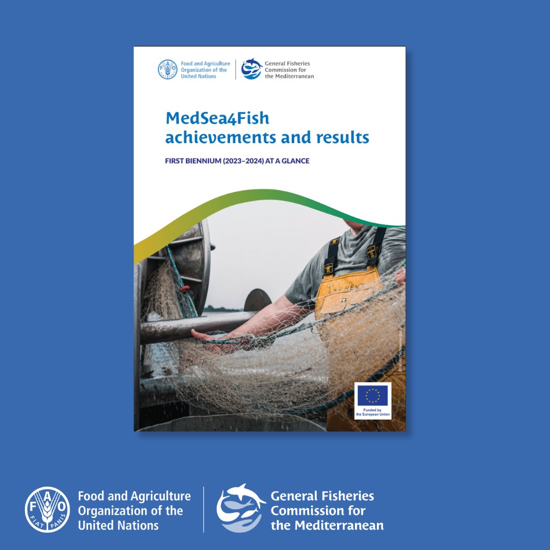 #MedSea4Fish is the GFCM capacity development programme for the Mediterranean Sea

In the 1st biennium, 26 different types of actions were carried out across 17 countries.

Check out the main achievements and results: openknowledge.fao.org/handle/20.500.…

#SustainableFisheries