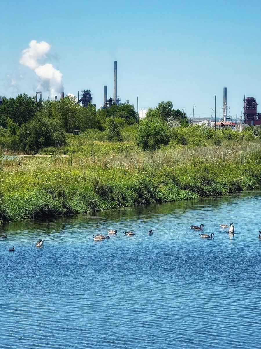 Blues and greens in Hamilton (Instagram:mkiro56)

#HamOnt #Hamilton