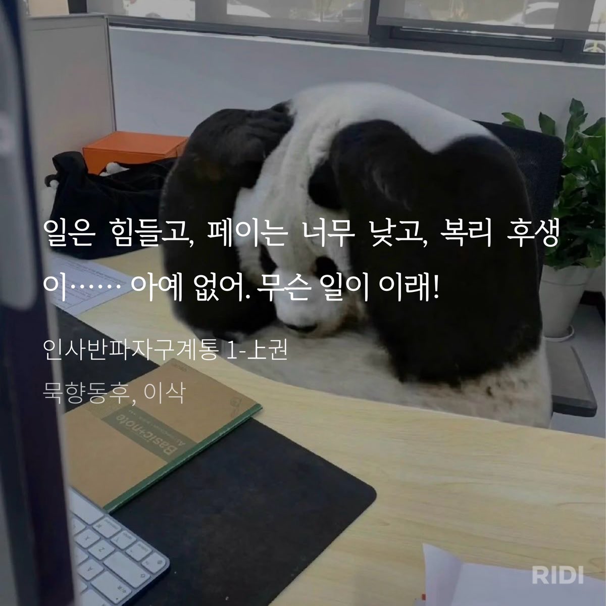 hayaaaan_2's tweet photo. 현판웹소 짤 특 : 웃긴데 꽤 유용함 https://t.co/1SJhwfhHK4