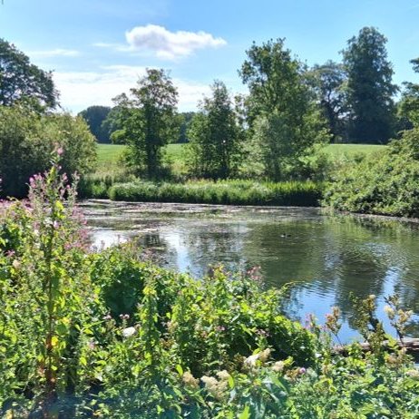 "Finding The Summers Sun"

Down to the lake
I went today
Somewhere hidden
Not far away
Butterflies flying free
Showing me the way
I found beauty hidden
From the day