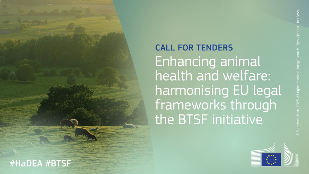 EU_HaDEA's tweet photo. Want to help enhance animal health and welfare in the EU? Apply for this call for tenders to implement training activities under the Better Training for Safer Food (#BTSF) Initiative.
🗓️ Deadline: 30 September 2025.
🔗: https://t.co/a0OH6QIarp https://t.co/4Y5sRjv2SP