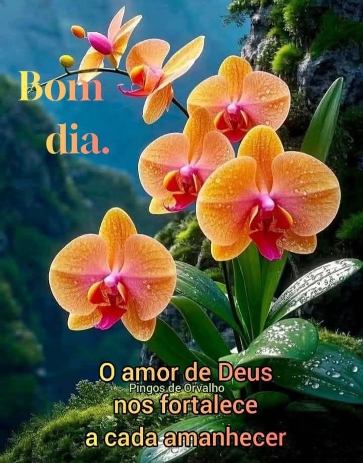 Eliana Miranda De Me (@elianamirandad3) on Twitter photo <a href="/silnreginaa/">Silvia</a> Bom dia minha linda 🌹❤️ <a href="/silnreginaa/">Silvia</a> Bom dia minha linda 🌹❤️