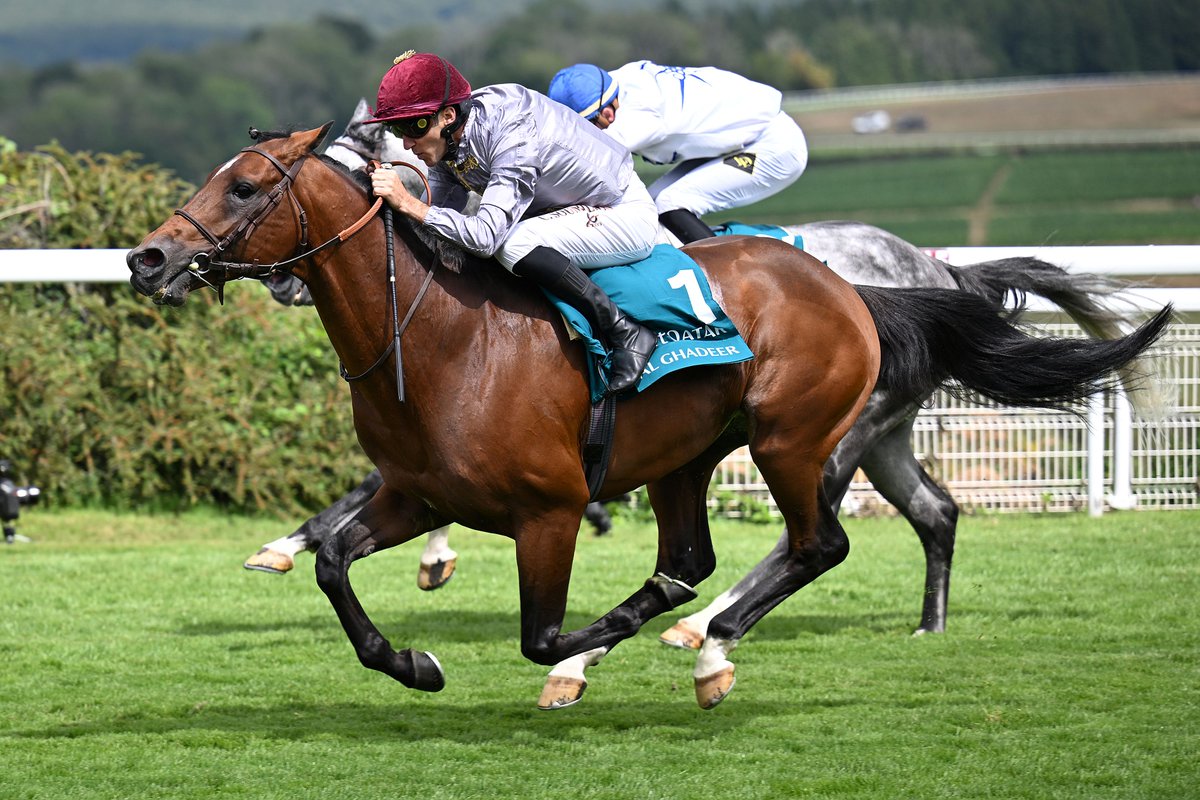 "I will not train an Arabian horse as good as him. He is probably the best Arabian horse ever. He is complete."

Al Ghadeer continues domination of Arabian division

read more👉bit.ly/40KNtpw

#QGF | #GloriousGoodwood