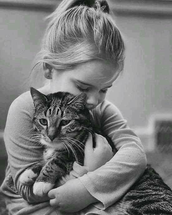 "Todos necesitamos alguna vez un cómplice;
alguien que nos ayude a usar el corazón,
que nos espere ufano en los viejos desvanes,
que desnude el pasado y desarme el dolor."

~ Mario Benedetti ✍️
#FelizMiercoles
#BuenasNochesATodos