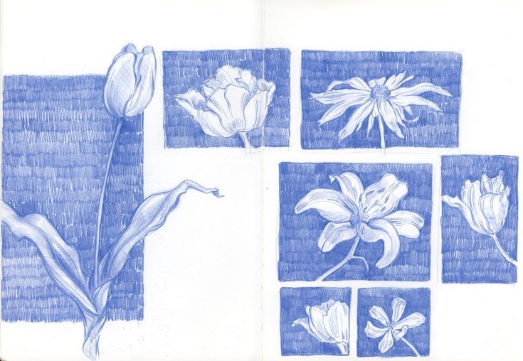 sera (@seraphicxc) on Twitter photo 