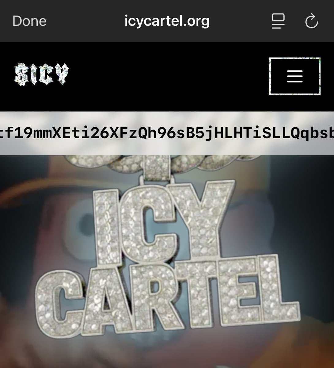 ICY website🥶🧊

icycartel.org