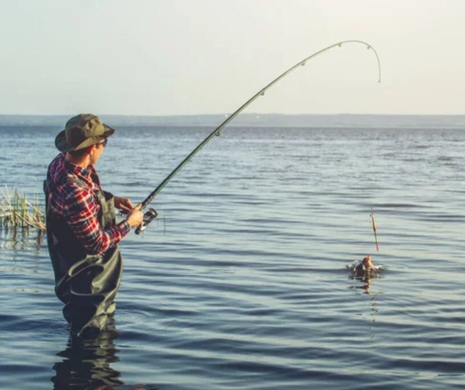 During the peak of summer heat, fish retreat to cooler, deeper waters.

Fish early, fish late—or reach the depths with weighted rigs and crankbaits.

Savvy anglers adapt to the season, not the other way around.
#FishingTips #BeatTheHeat #SummerFishingSmart