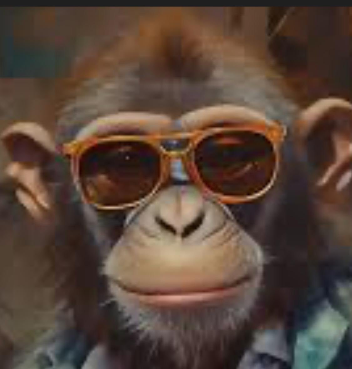 حد يعرف القرد هذا اشغلنا ونبي نربيه.    اهله مسمينه (ماصر الهرجاني)