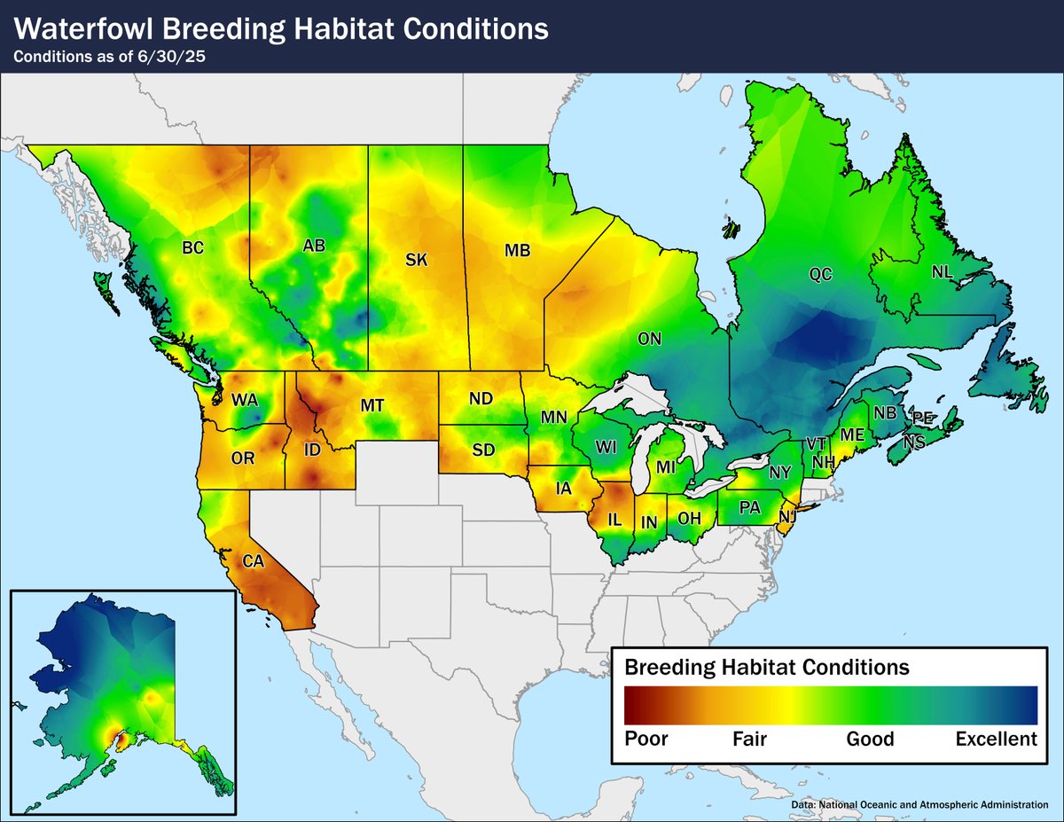 Delta Waterfowl reports a tough end to the 2025 breeding season. Poor snowmelt and a dry spring left many prairie wetlands dry. While May brought brief improvement, June’s heat and lack of rain reversed most gains.