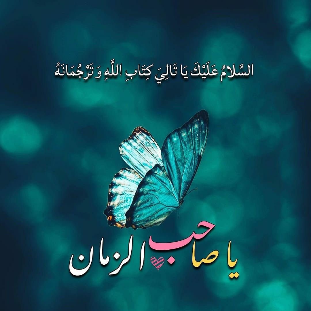 "

❀ 

يَغِيبُ عن أبصَار النّاس شَخصُه، 
ولا يَغيبُ عن قلوبِ المُؤمنين ذِكرهُ.

-الإِمَام الكَاظِم ع متحدثًا عن المهديّ (عج).

❀ 

"

،∴❧◈❧∴