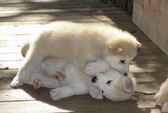 Me & Who? (@tagyourwho) on Twitter photo 