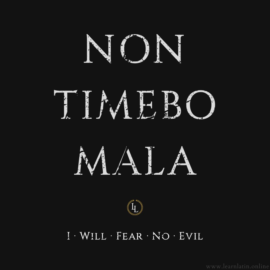 Non · Timebo · Mala