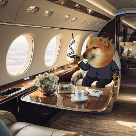 POV:

You bought the fear.

FOMC = Fear of missing $Cheems

3HgosRE7JHzDhpkkNA1M41KdSEwBvh7WXfuDgUfebonk