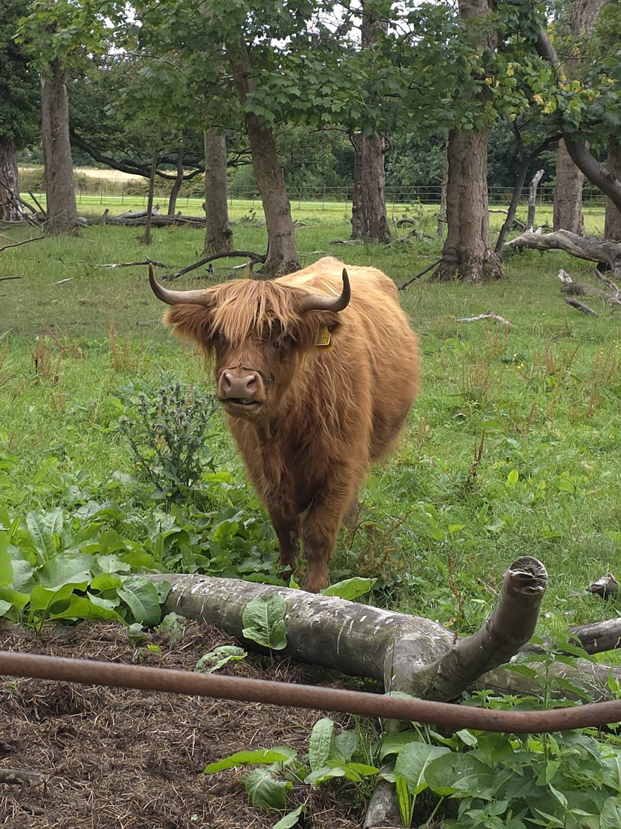 Mrs Christopher tweet media