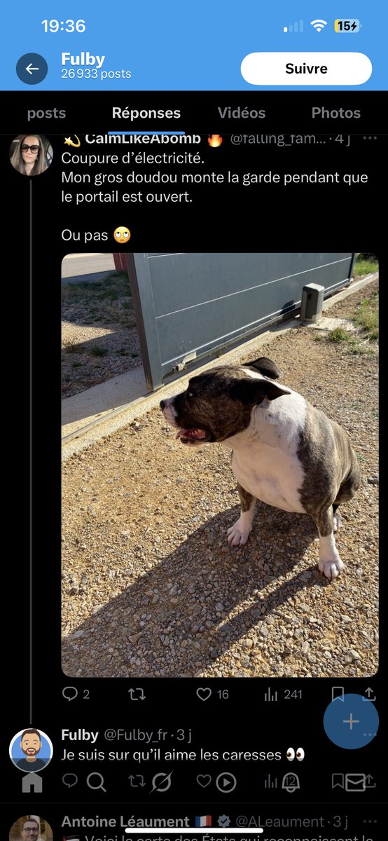 Maël.﹒ tweet media