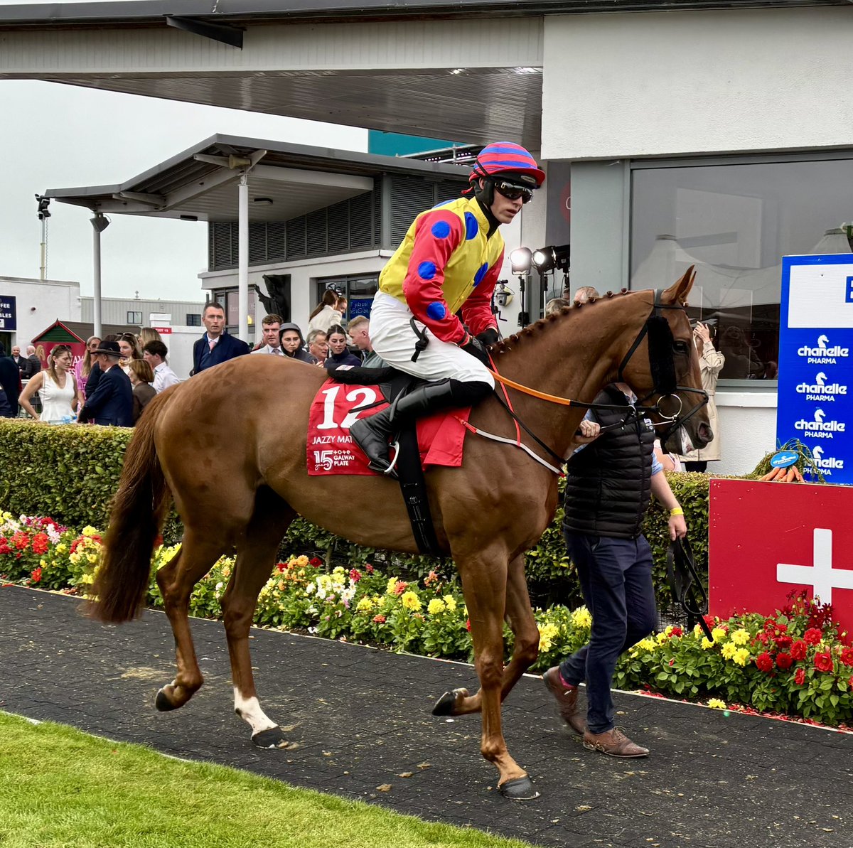 Dave Arthur (@flutter61) on Twitter photo Jazzy Matty and <a href="/CobdenHarry/">Harry Cobden</a> both look ready for action in the <a href="/ToteRacing/">Tote</a> Galway Plate <a href="/Galway_Races/">Galway Races</a> Jazzy Matty and <a href="/CobdenHarry/">Harry Cobden</a> both look ready for action in the <a href="/ToteRacing/">Tote</a> Galway Plate <a href="/Galway_Races/">Galway Races</a>