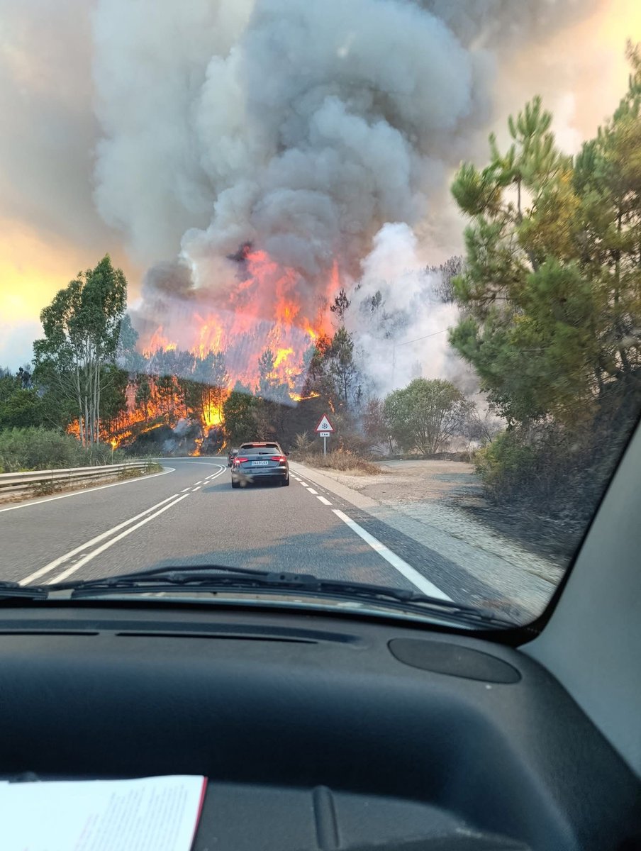 Incendiosgalic1's tweet photo. #IFCoutoACañiza 
Autor y hora desconocido https://t.co/gQvxqHrfSw