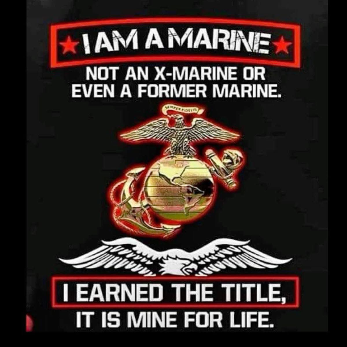 Tiger 6 Actual 🇺🇸🪖 (@tiger6actual) on Twitter photo 
