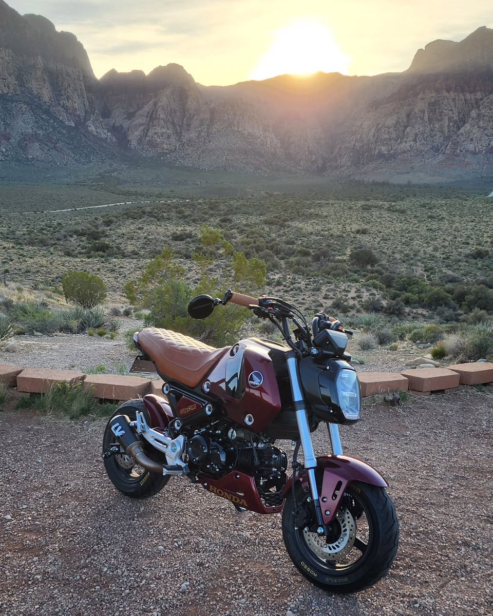 Media Source: instagram.com/p/DKKd-3RxOhG/

I swore I posted the Grom  . I painted the body myself,  Red Velvet Pearl from Chrysler, cheekyseats for this amazing seat cover, 
.
#hondagrom #grom #leovince #cheekyseats #pirelli #hondamotorcycles ( #📷 @slowlifematt )