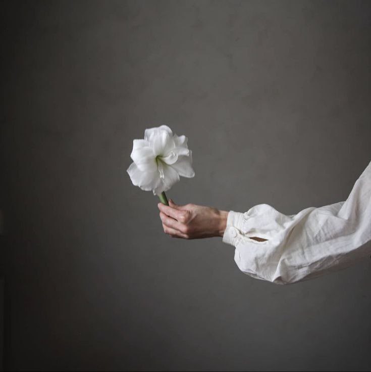 لا أحب أن أكون مثقلة على شخصٍ - بهذا الكوكب - مهما كانت الصلة والروابط التي تجمعنا،
أحب كَوني خفيفة،
وأتمنى أن أذهب - من الدُنيا - خفيفة،
لا مُثقِلة ولا مَثقولًا عليّ.

- فرح حمادة