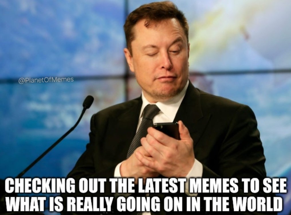 <a href="/elonmusk/">Elon Musk</a> 𝕏 is the media now