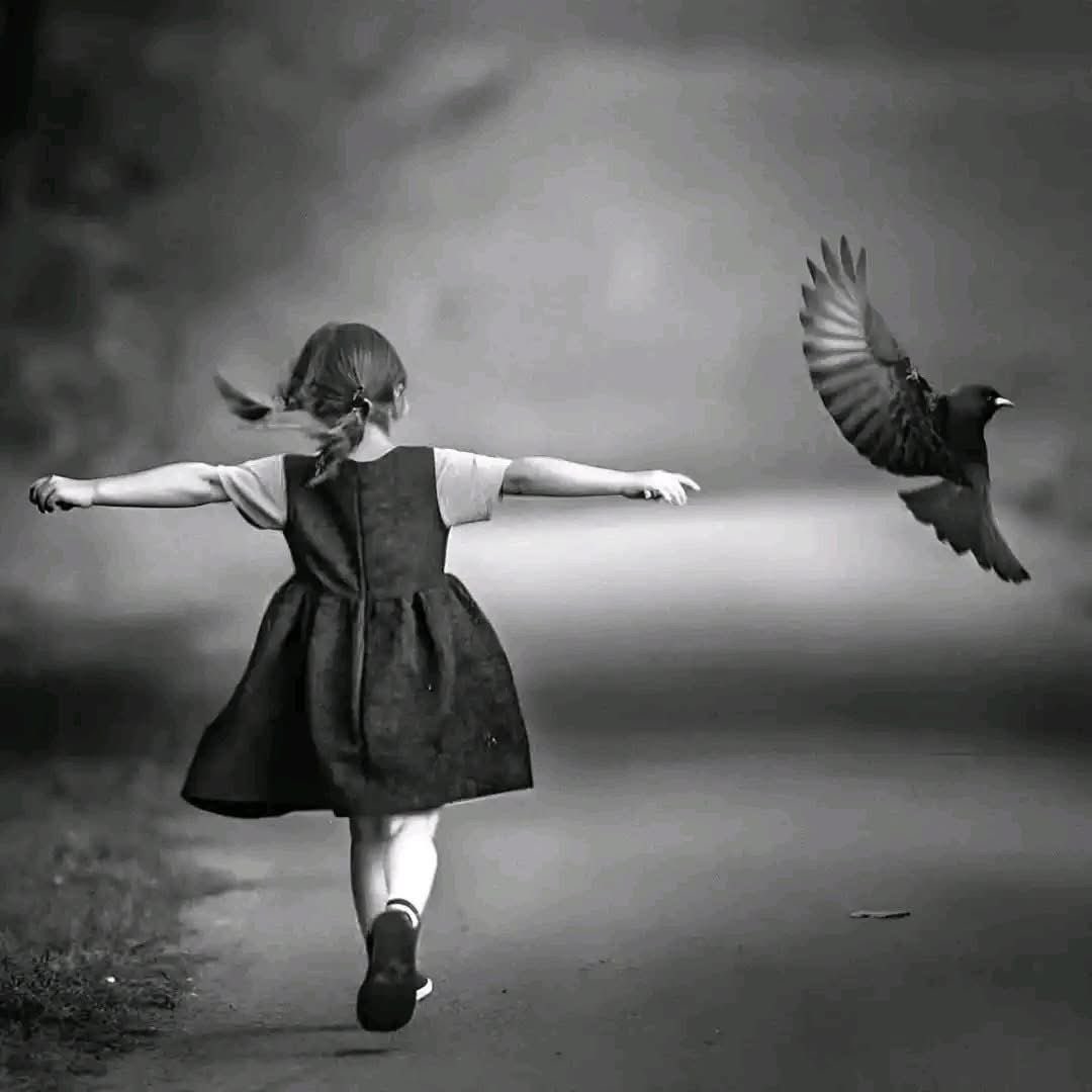 أدركت أن العافية كلها في صحة جيدة 
وبيت بعيد عن المشاحنات
وقلة قليلة تحبنا بصدق
أدركت أن النجاح لا يشترط فيه أن يكون 
شيئا ملموسا نسمع له تصفيق 
فربما كان النجاح في تجاوز موقف صعب 
أو التعافي من أزمة قاسية
أو القدرة على البدء من جديد