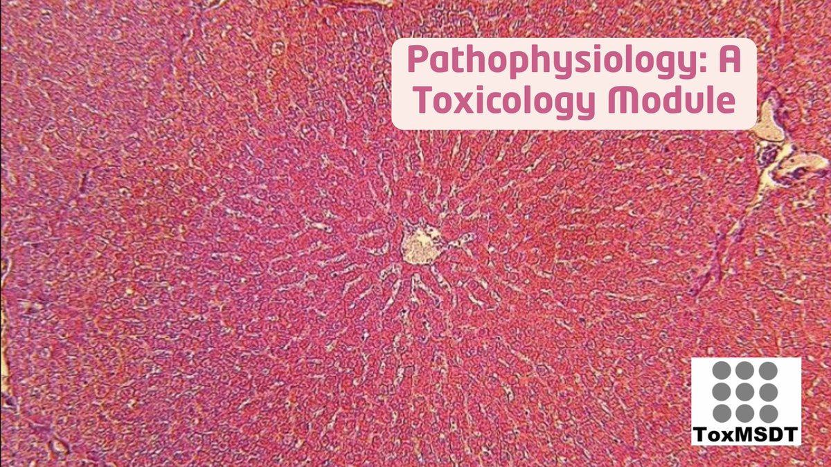 toxmsdt's tweet photo. Learn how toxicants trigger physical and functional changes in cells, tissues, and organs. This ToxMSDT module introduces the basics of pathophysiology and its role in toxicology. https://t.co/X7VJPHPHgy https://t.co/2JXdjMnpDH
