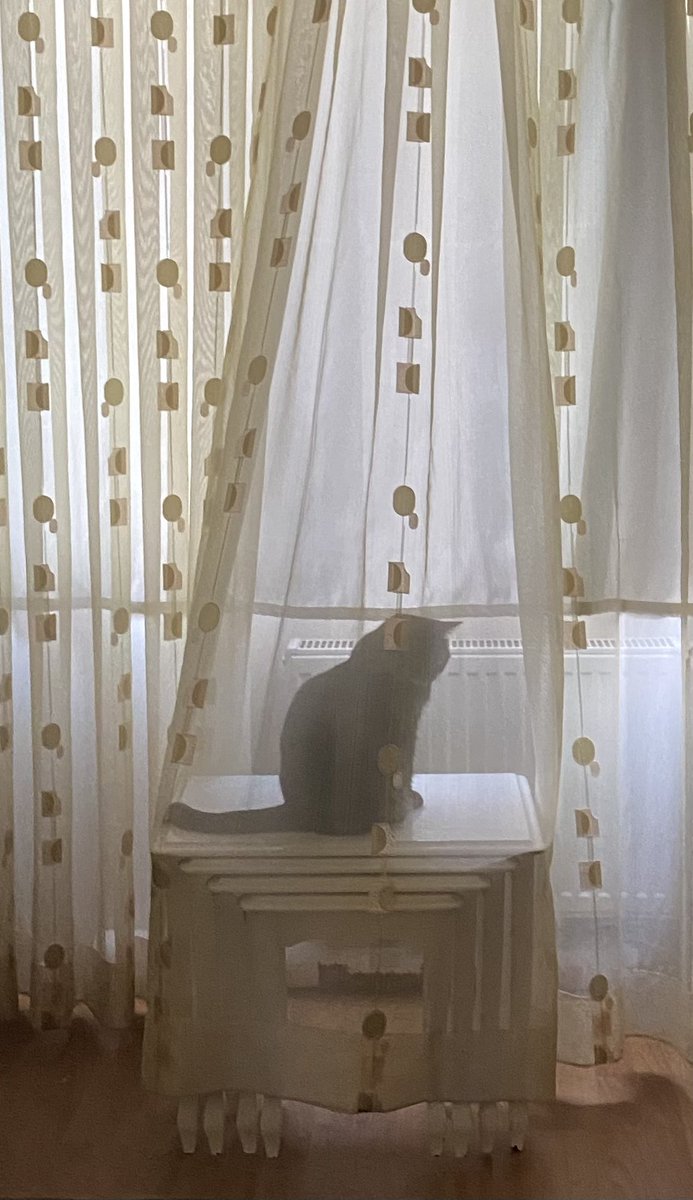 yas mamik diyarına isinlaniyorum