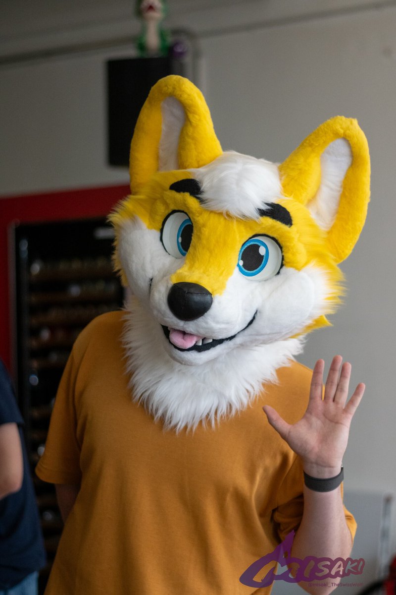 Heya! 👋 Lovely to see you again 💛

📸 <a href="/misakiAkenoY467/">Misaki 🐾ΘΔ 🏳️‍⚧️</a>