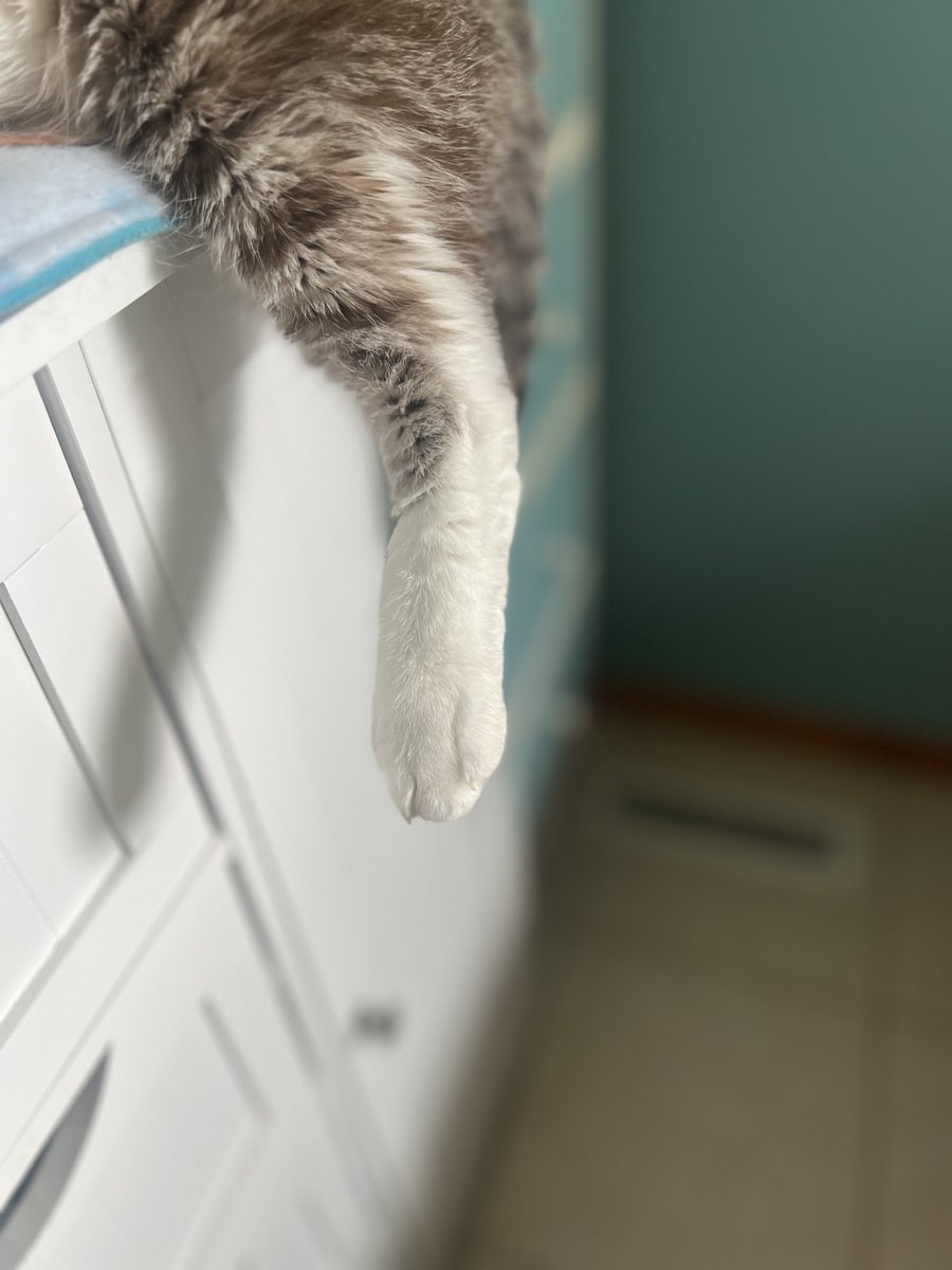 hoof