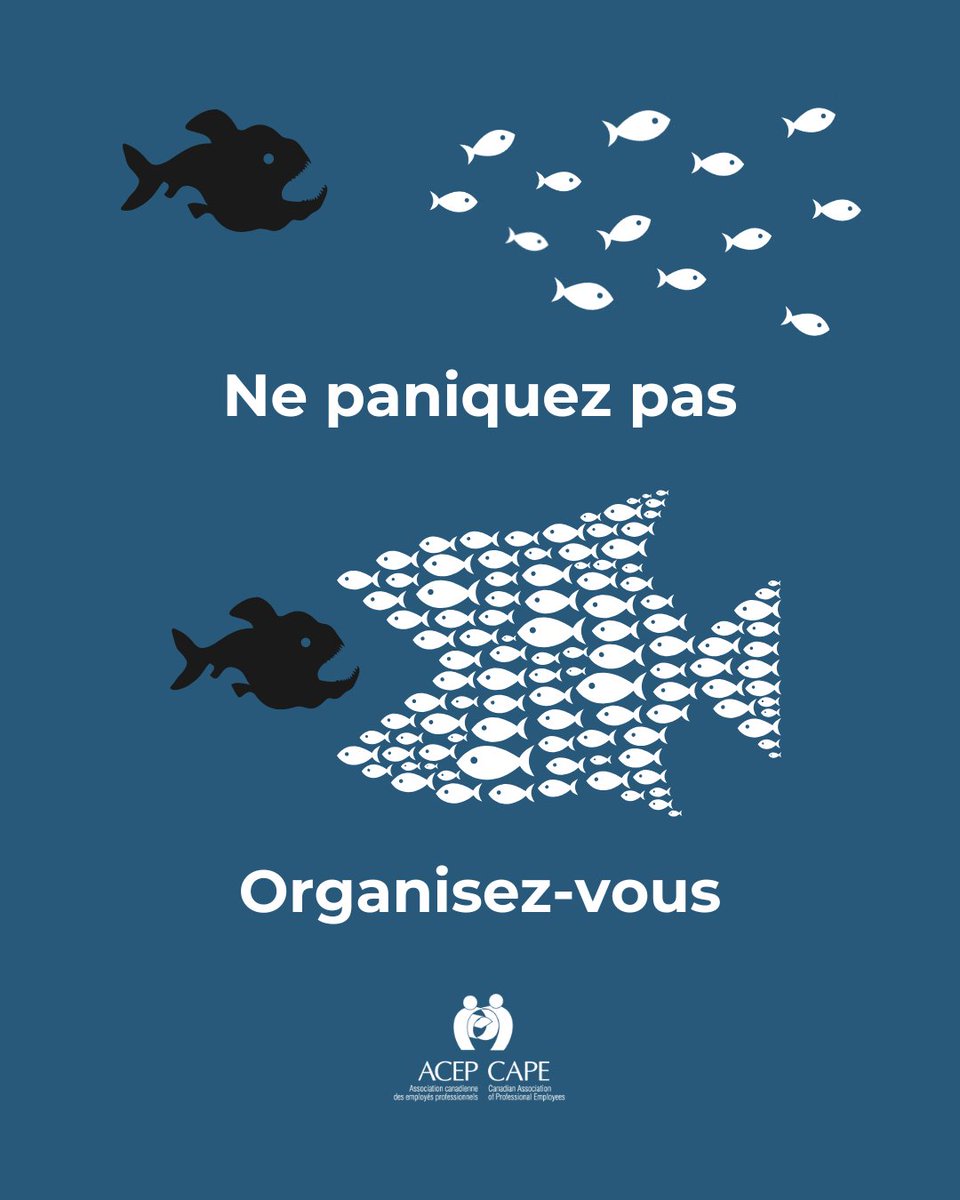 L'ACEP est le syndicat des membres et peut mieux atteindre ses objectifs lorsque les membres de la base s'impliquent dans les dossiers qui leur tiennent le plus à cœur. Passez à l'action et impliquez-vous pour faire une différence dès aujourd'hui. acep-cape.ca/fr/passez-lact… #SyndCan
