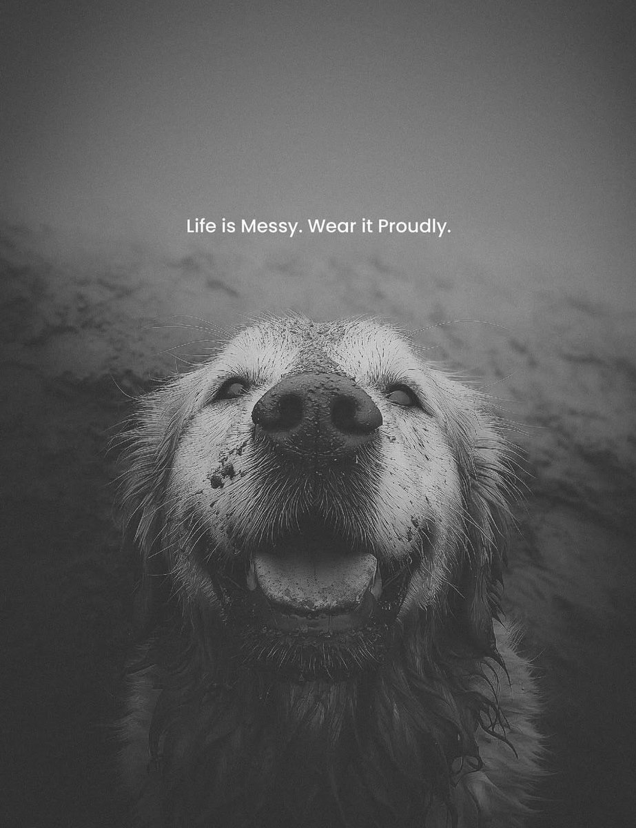 Life is messy. Wear it proudly

Image: instagram.com/voguepawsoffic…